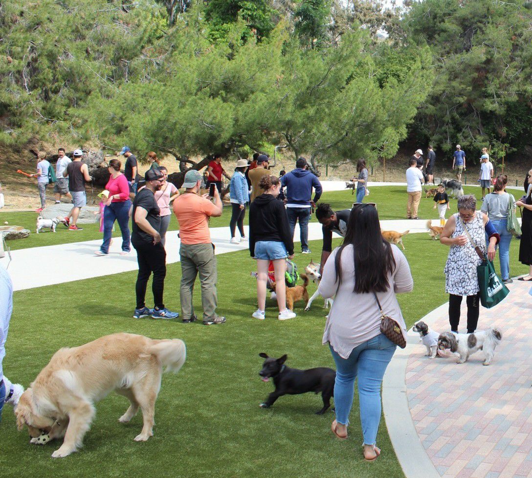 Eagle Rock Dog Park opening Day
